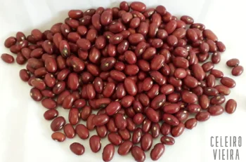 Feijão Vermelho (amendoim) 1kg