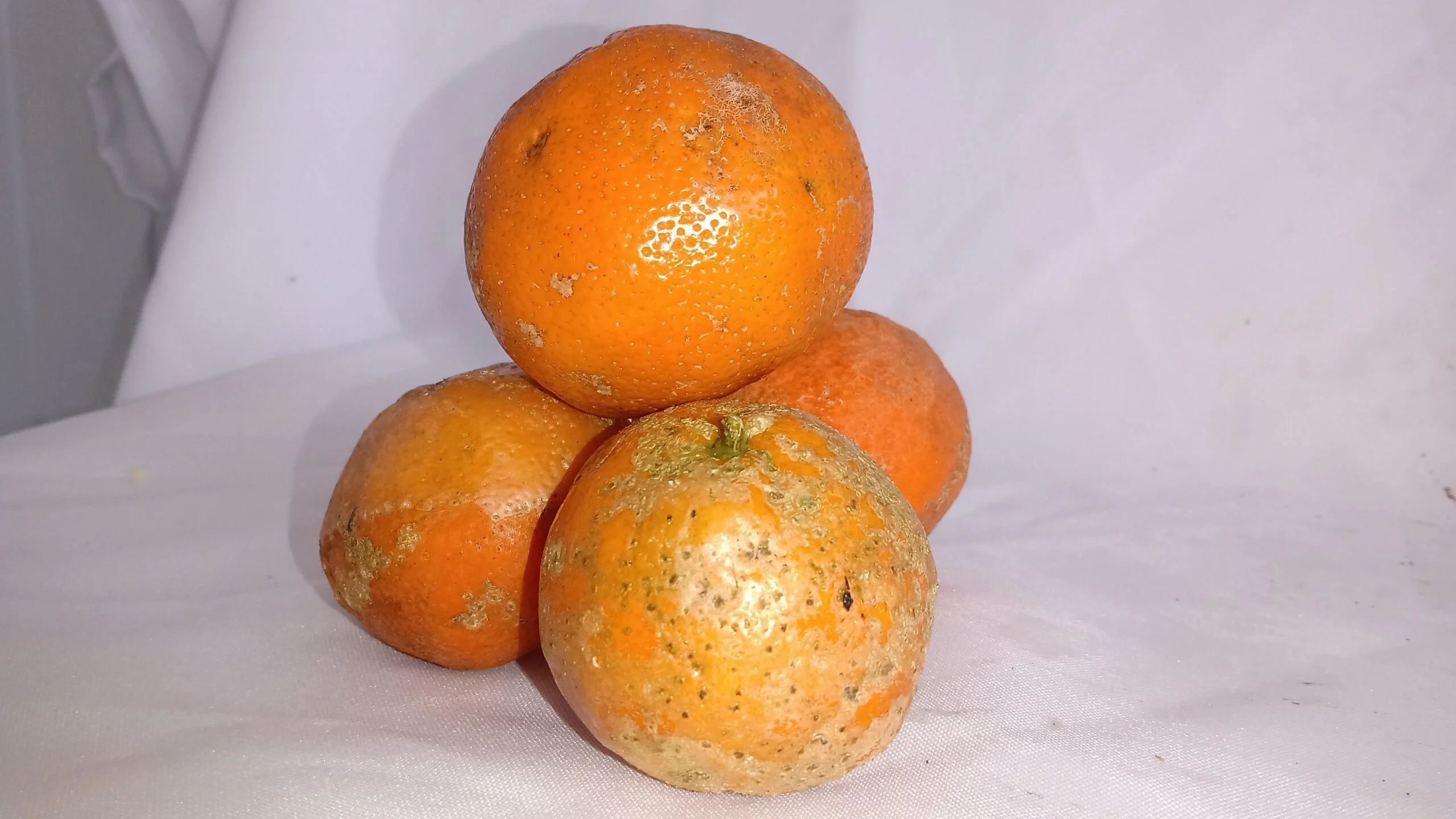 Limão Rosa 500g