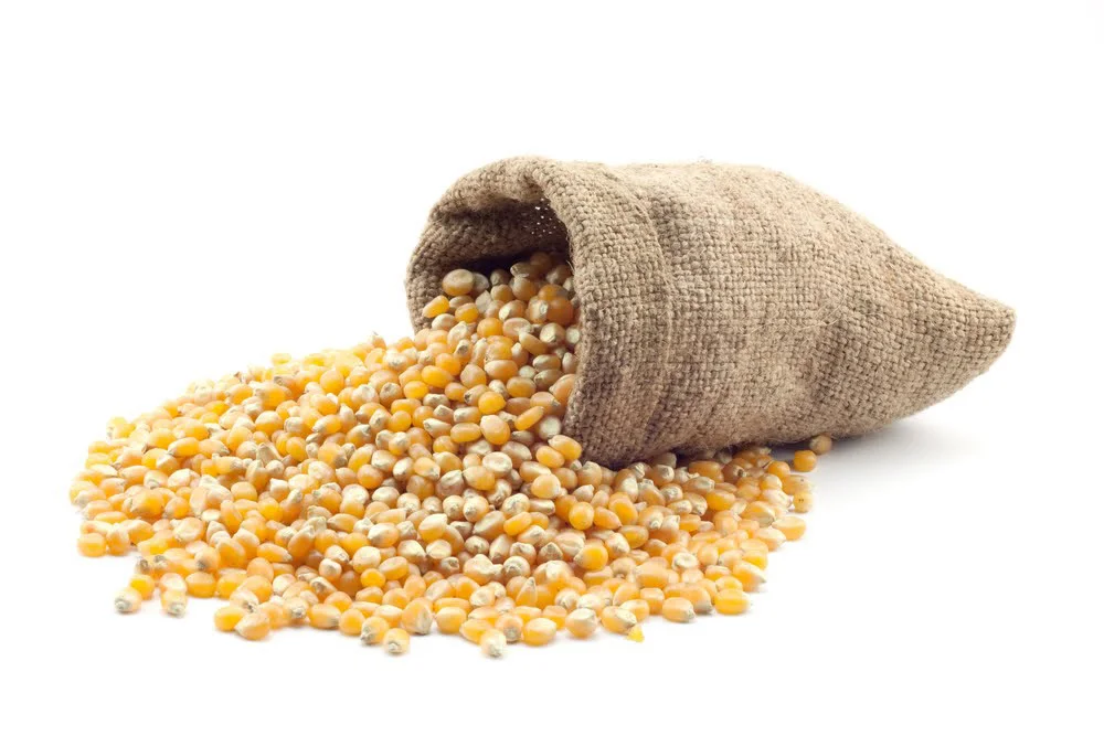 Pipoca 500g